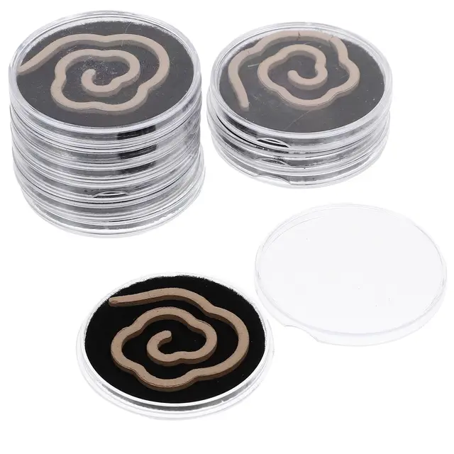 swoomey espiral de incienso natural 10