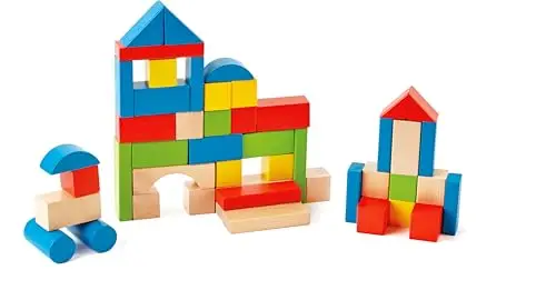 hape maple blocks e0409