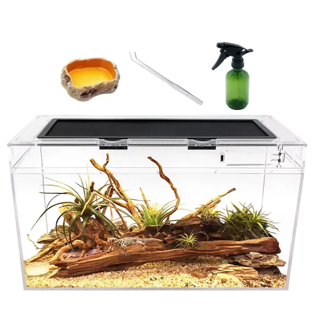 reptile growth komplettset 50x25x27