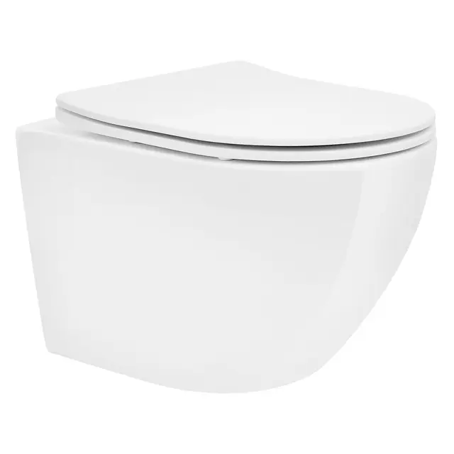 LuxeBath Inodoro Suspendido sin Borde, WC Corto 49 cm Blanco Brillante de Cerámica con Nano Revestimiento, Taza de Water de Pared con Asiento Extraíble, Cierre Automático Suave, Descarga Profundo