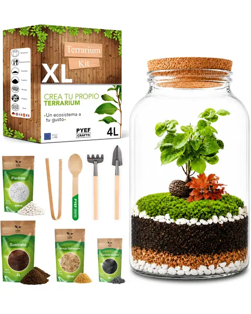 pyef crafts terrario plantas xl diy