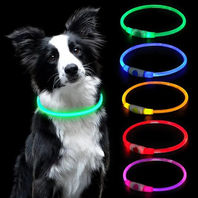 lairi collar luminoso led perro