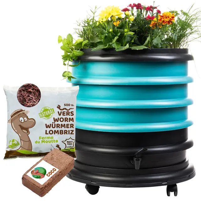 WORMbox | Vermicompostador Compostera 3 bandejas Turquesa + Jardinera + 250g de Lombrices / 500 und + 1 Coco | 48 litros | Composta residuos orgánicos, lombrices producen Humus de Lombriz