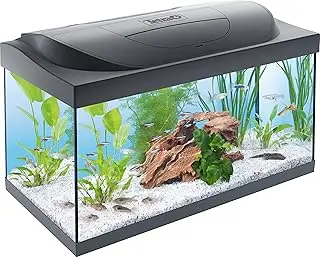 tetra starter line led 54l acuario