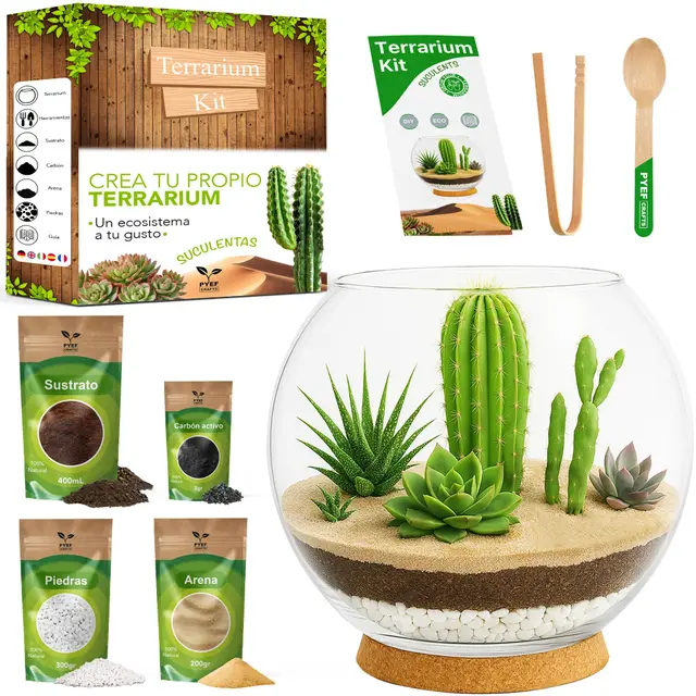 pyef crafts terrario desierto diy