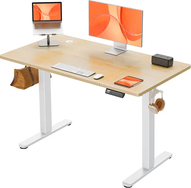 ErGear Escritorio Elevable Eléctrico, Escritorio Ajustable en Altura 120 x 60 cm, Mesa Elevable con Panel Inteligente de 4 Memorias, Mesa Escritorio Oficina en Casa con Tablero Ensamblado